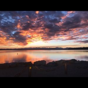 Meet your Posher, Josie